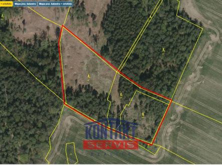 Přehledka B II | Prodej - pozemek, les, 43 683 m²