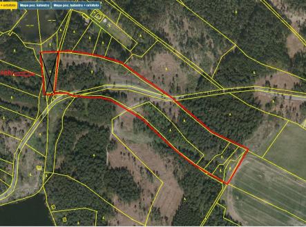 Přehledka A II | Prodej - pozemek, les, 43 683 m²