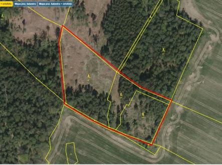 Přehledka B II | Prodej - pozemek, les, 43 683 m²