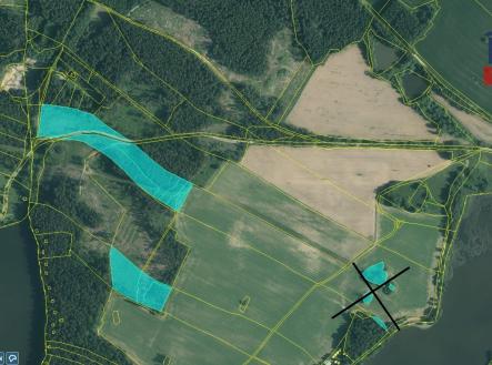 Detail I | Prodej - pozemek, les, 43 683 m²