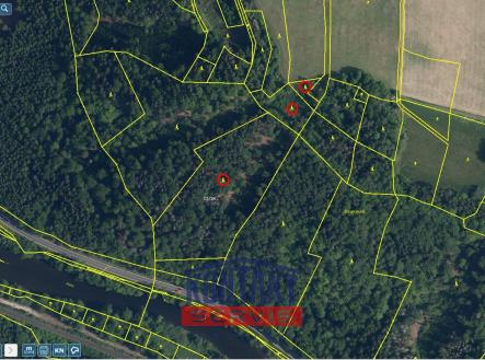 LV 1419 - Přehledka zoom II | Prodej - pozemek, les, 23 153 m²