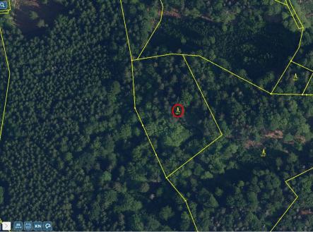 LV 389 - Přehledka zoom II | Prodej - pozemek, les, 23 153 m²