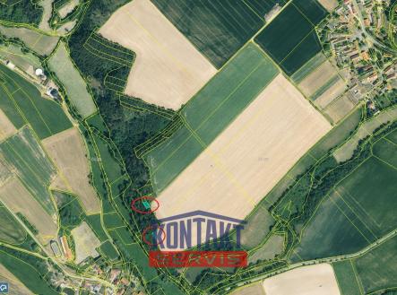 Detail II | Prodej - pozemek, les, 16 790 m²