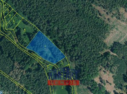 KN 1466 | Prodej - pozemek, les, 16 790 m²