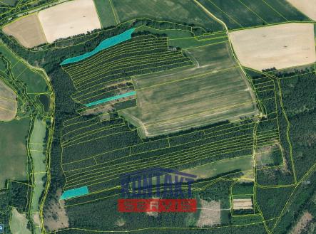 Prodej - pozemek, les, 16 437 m² obrázek