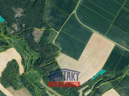 Detail I | Prodej - pozemek, les, 16 437 m²