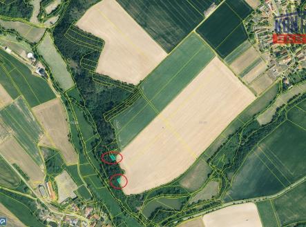 Detail II | Prodej - pozemek, les, 16 437 m²