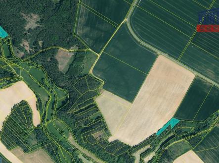 Detail I | Prodej - pozemek, les, 16 437 m²