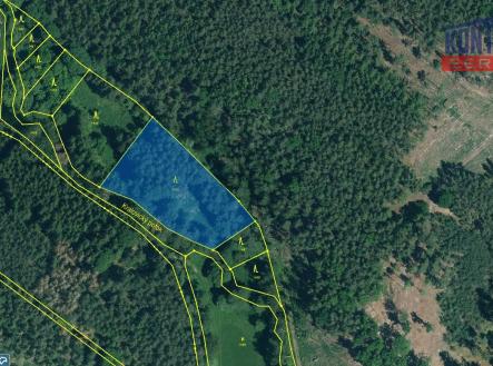 KN 1466 | Prodej - pozemek, les, 16 437 m²