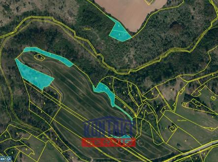 detail_doprodej | Prodej - pozemek, les, 11 037 m²