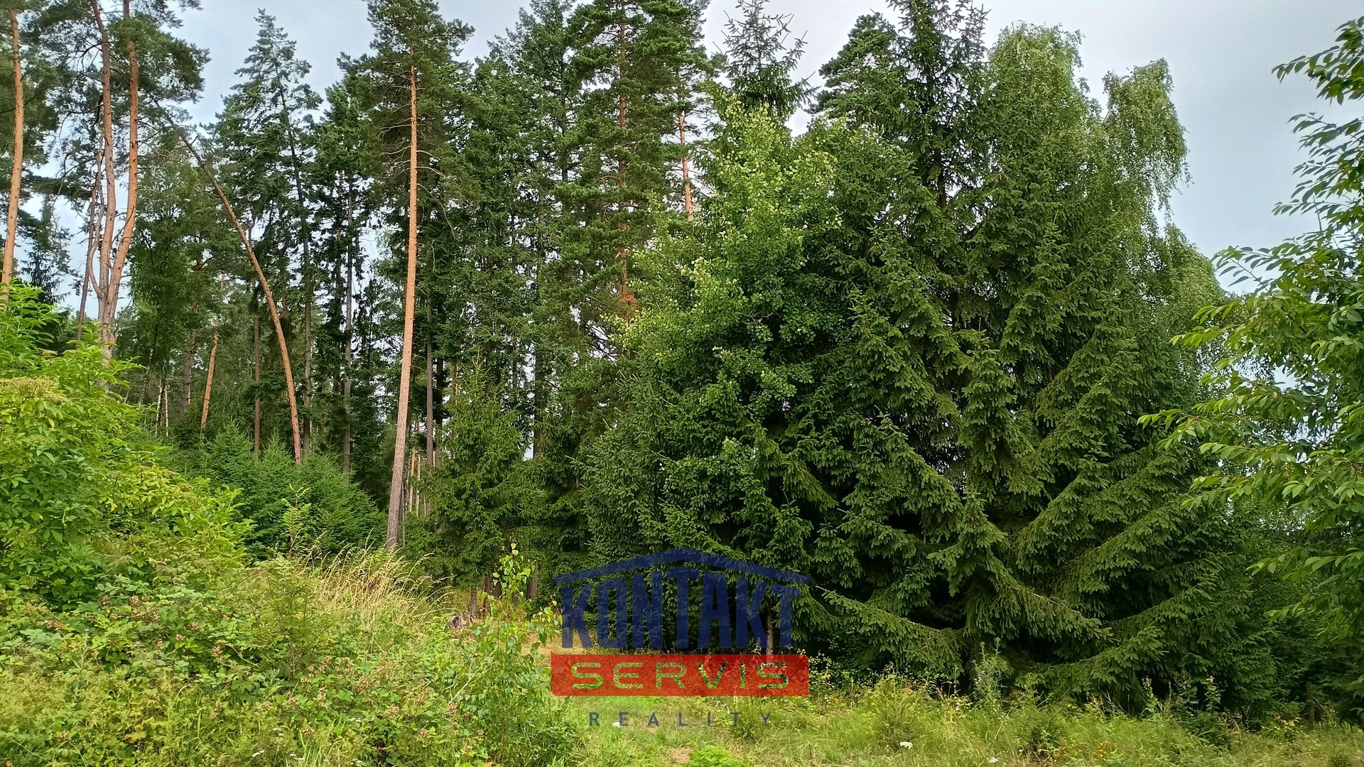 IMG_20250717_083834769_HDR