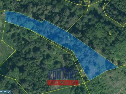 KN 422,2 | Prodej - pozemek, les, 2 562 m²