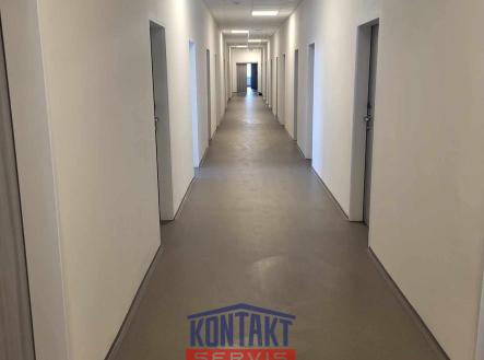 466452800_1727607271417487_3238931643118368296_n | Pronájem - kanceláře, 12 m²