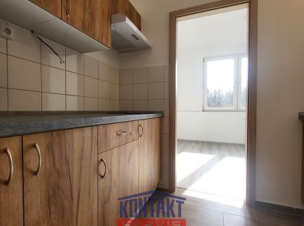 20250304_121517 | Pronájem bytu, 1+kk, 20 m²