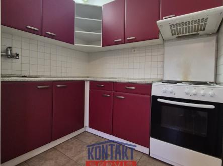 20251031_161902_resized | Pronájem bytu, 2+kk, 55 m²