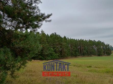 IMG_20250924_091917276_HDR | Prodej - pozemek, les, 32 746 m²