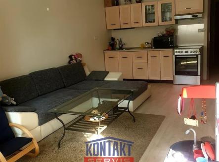 119988548_374284986930368_7924658987709655762_n.jpg | Pronájem bytu, 2+kk, 45 m²