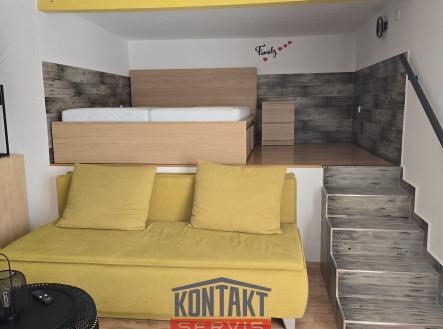 1000011394 | Pronájem bytu, 1+kk, 39 m²