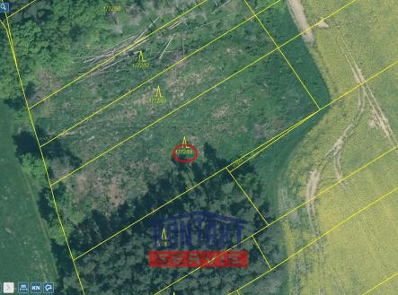 Přehledka zoom II | Prodej - pozemek, les, 2 934 m²