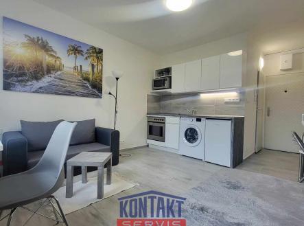 456796081_1330366731681813_9195204093595663329_n | Pronájem bytu, 1+kk, 21 m²