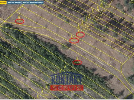 Přehledka zoom II | Prodej - pozemek, les, 5 000 m²