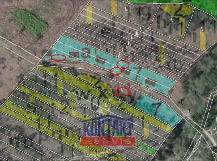 LHP | Prodej - pozemek, les, 5 000 m²