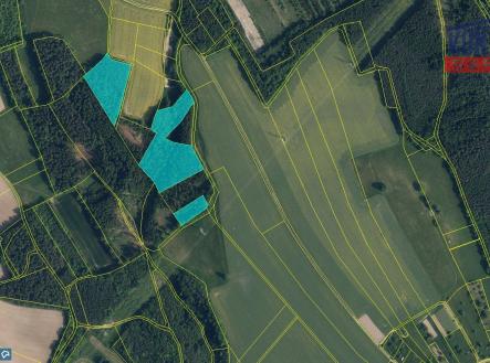 Detail | Prodej - pozemek, les, 30 767 m²