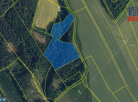 KN 1571 | Prodej - pozemek, les, 30 767 m²