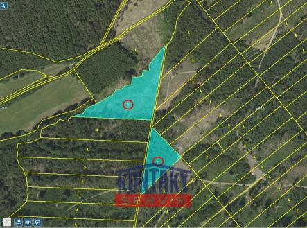 sever Přehledka | Prodej - pozemek, les, 70 821 m²