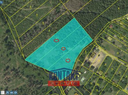 střed Přehledka | Prodej - pozemek, les, 70 821 m²