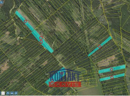 východ Přehledka | Prodej - pozemek, les, 70 821 m²