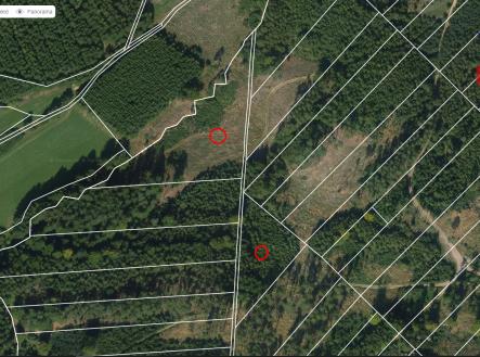 sever mapy.cz | Prodej - pozemek, les, 70 821 m²