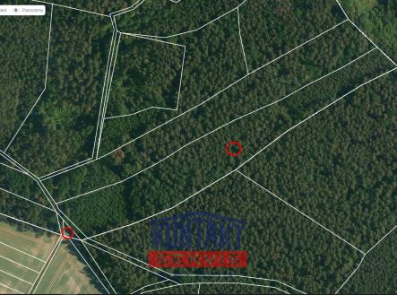 jih mapy.cz | Prodej - pozemek, les, 100 105 m²