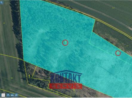 střed Přehledka | Prodej - pozemek, les, 100 105 m²