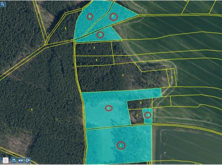 sever Přehledka | Prodej - pozemek, les, 100 105 m²