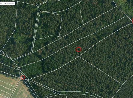 jih mapy.cz | Prodej - pozemek, les, 100 105 m²