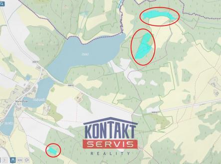 Přehledka | Prodej - pozemek, les, 47 225 m²