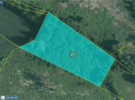 jih Přehledka | Prodej - pozemek, les, 20 620 m²