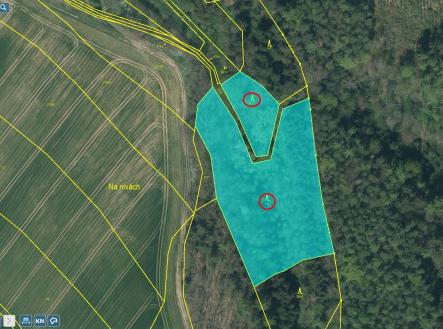 východ Přehledka | Prodej - pozemek, les, 23 812 m²