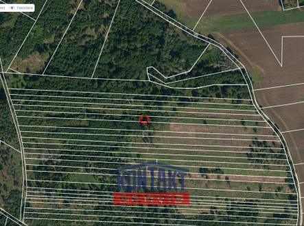 mapy | Prodej - pozemek, les, 32 955 m²