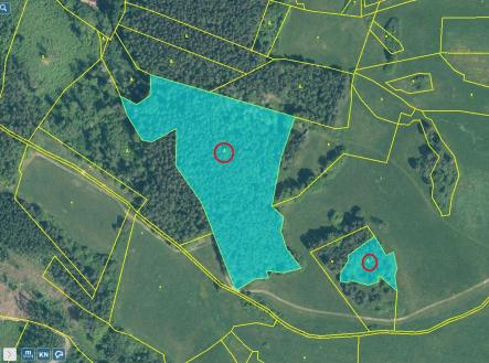 Přehledka zoom | Prodej - pozemek, les, 32 955 m²