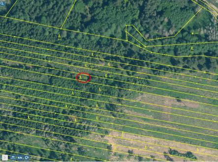 Přehledka zoom II | Prodej - pozemek, les, 32 955 m²