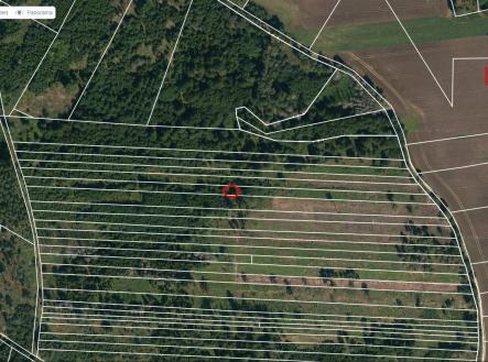 mapy | Prodej - pozemek, les, 32 955 m²