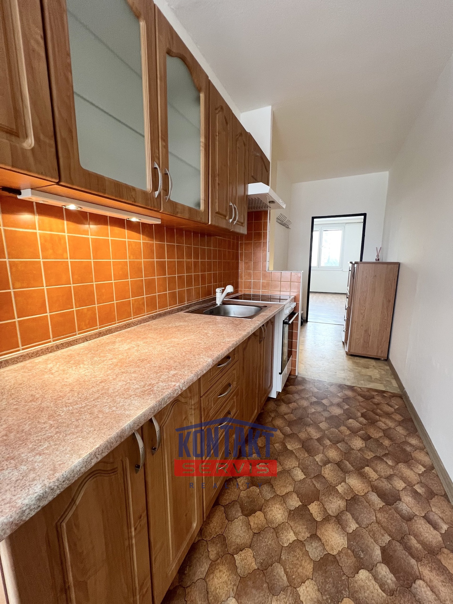 Pronájem prostorného bytu 2+1 (62 m²)  s výhledem a klidným okolím