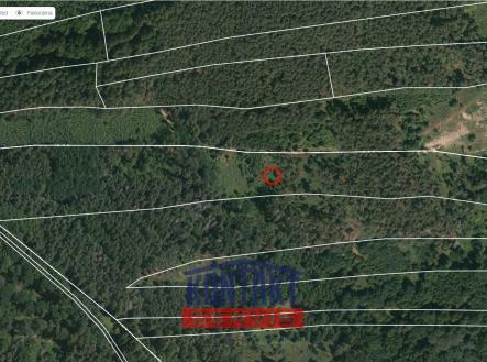 mapy | Prodej - pozemek, les, 32 226 m²