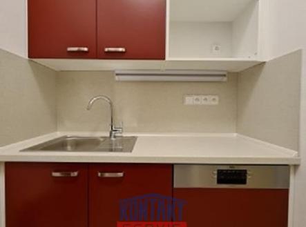 142919881_822566184993255_365706506281501220_n.jpg | Pronájem bytu, 2+1, 103 m²