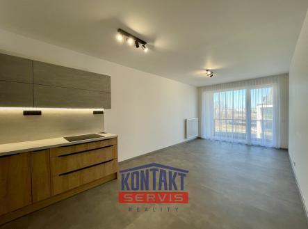 67bde3dfefaa3 | Pronájem bytu, 2+kk, 63 m²