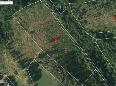 západ mapy | Prodej - pozemek, les, 12 243 m²