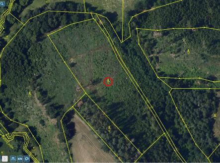 západ Přehledka II | Prodej - pozemek, les, 11 240 m²