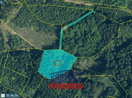 Přehledka zoom | Prodej - pozemek, les, 4 325 m²
